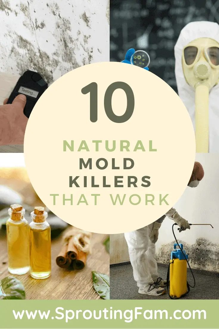 mold killers