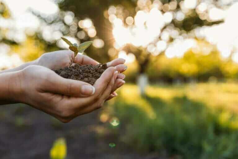 Living Soil: Turn Any Dirt To Soil – A Natural Farming Method