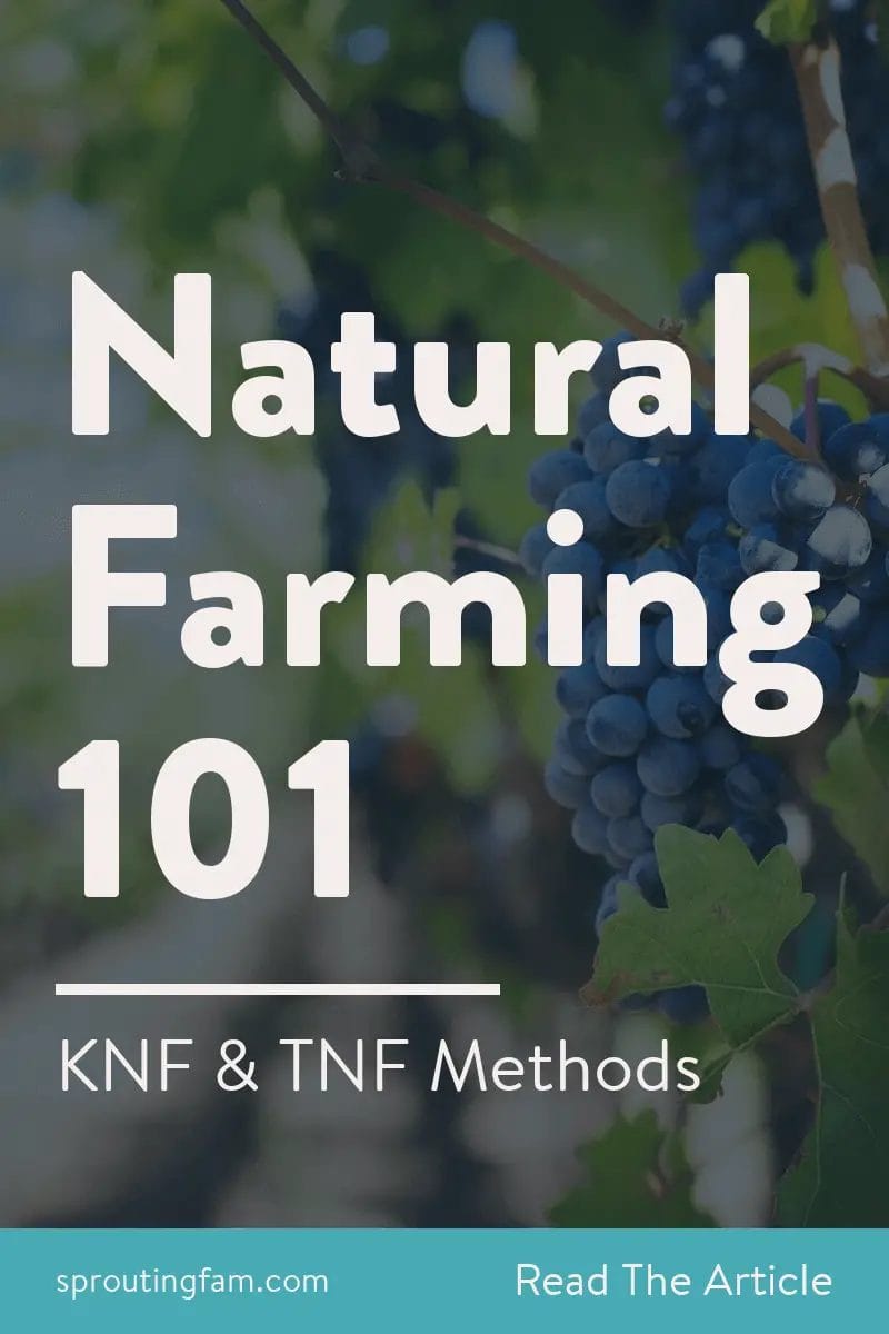 natural farming 101 pinterest pin