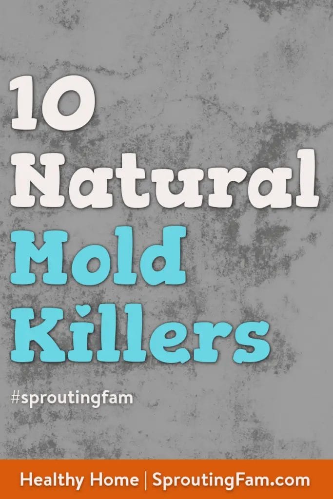 natural mold killers image for pinterest