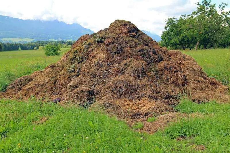 how to start a compost pile