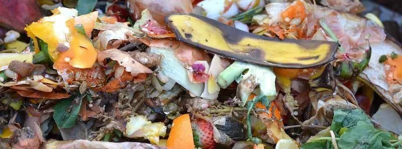 composting food scraps green waste