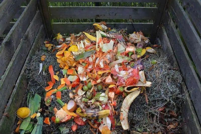 organic compost pile with greens and browns