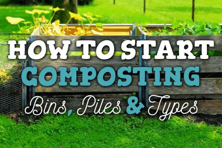 How To Start A Compost Pile (+ Infographic PDF)