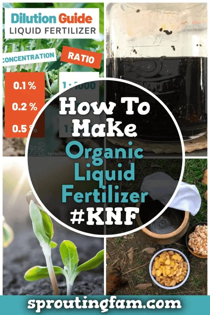 How To Make Organic Liquid Fertilizer, OHN Recipe Sprouting Fam