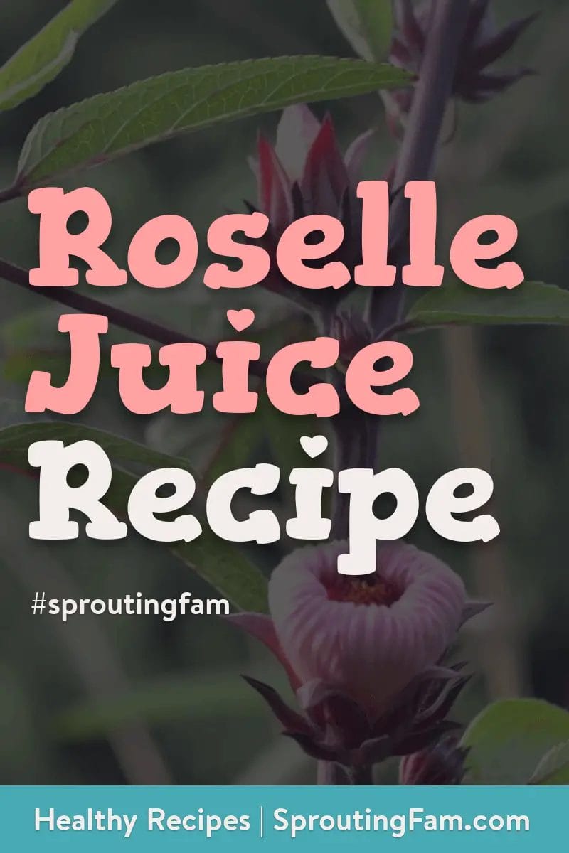 roselle juice recipe pinterest image