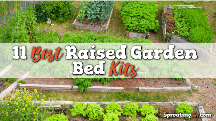 raised garden bed kit ideas and for sale