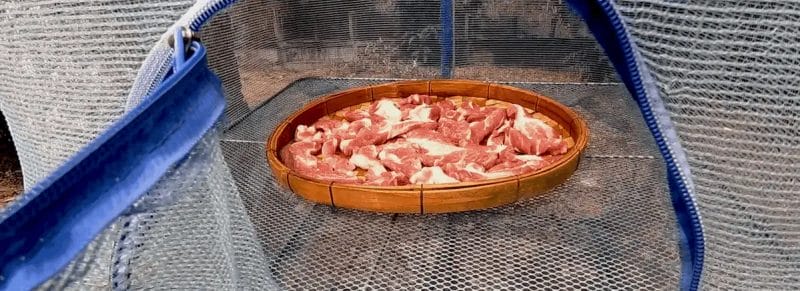 how to dry meat in the sun