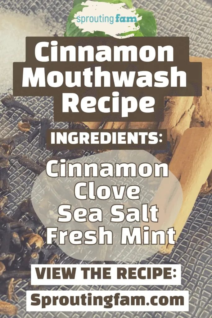 homemade cinnamon mouthwash recipe pin for pinterest