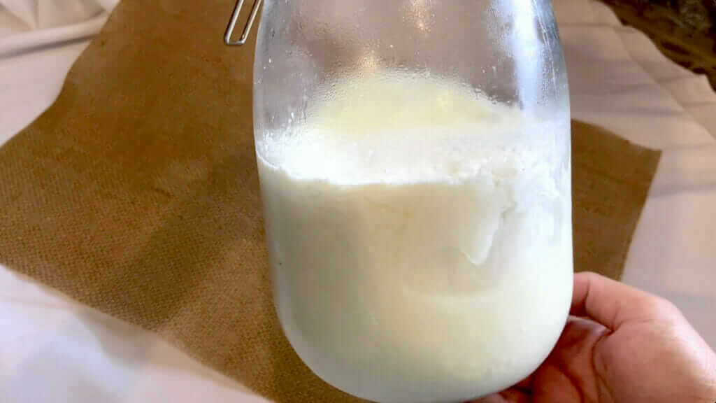 raw milk yogurt after refrigeration