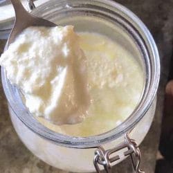 Sprouting Fam raw milk yogurt recipe directions