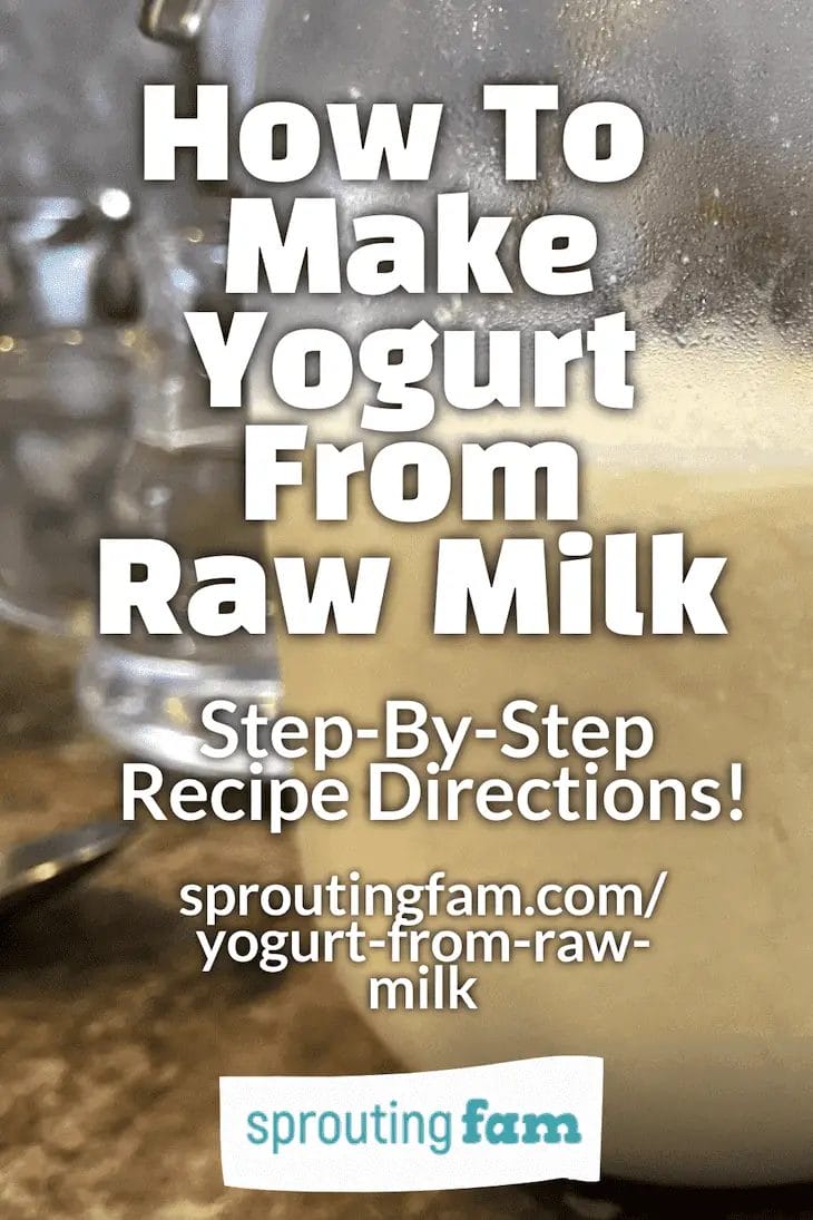How To Make Yogurt From Raw Milk (Without A Maker) Recipe - Sprouting Fam