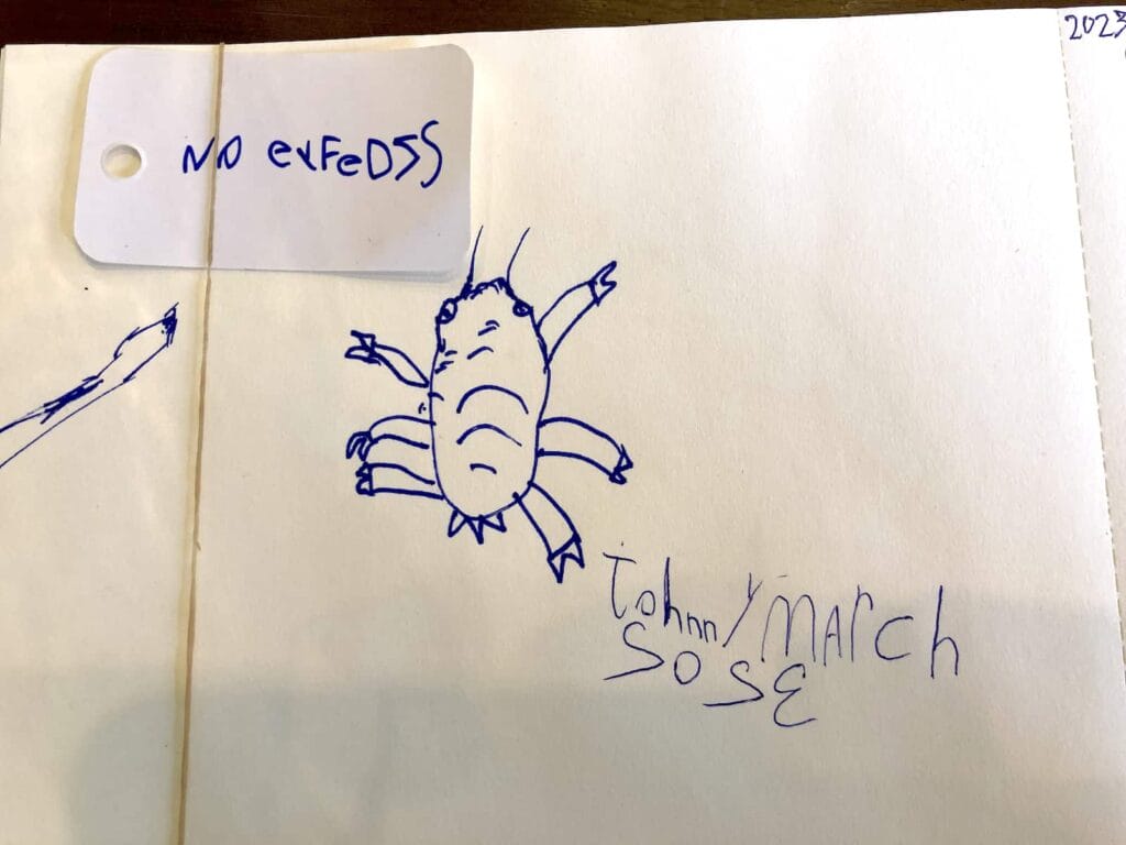 johnny's aphid drawing