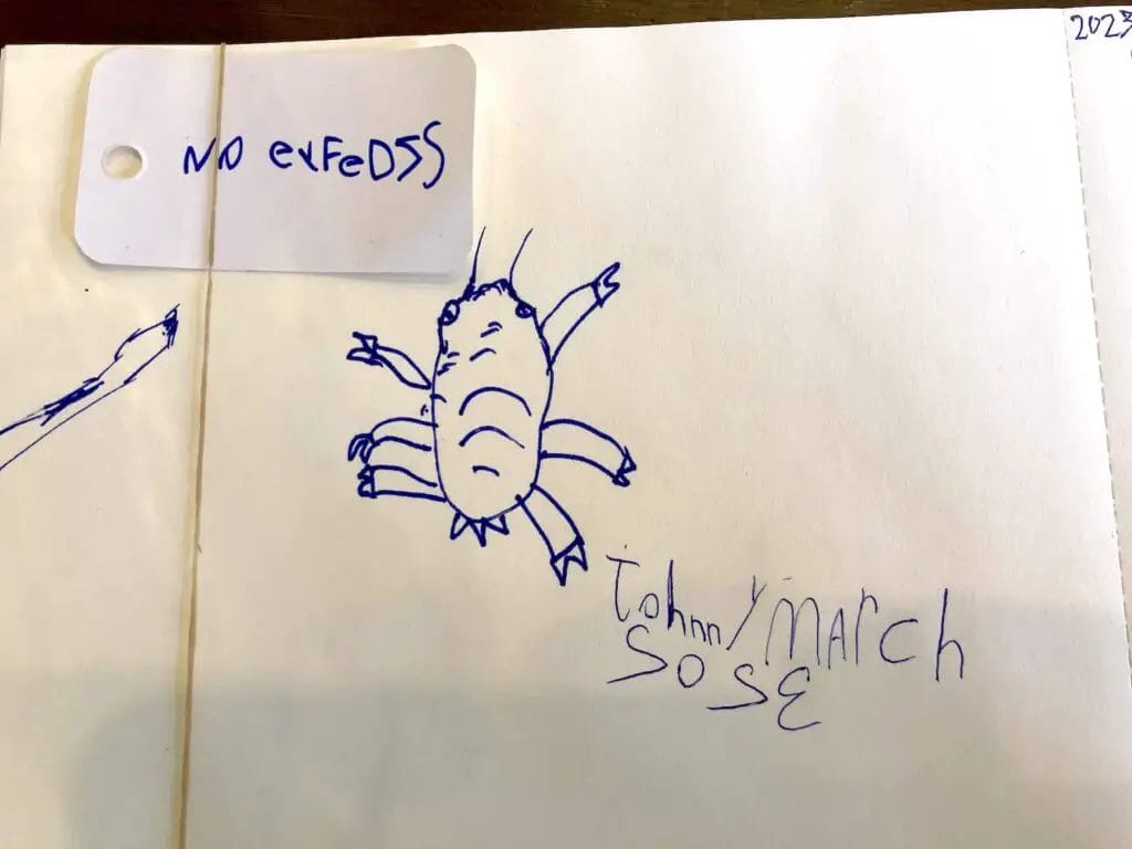 johnny's aphid drawing