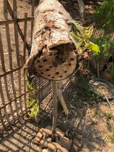 installed bee hotel with the post