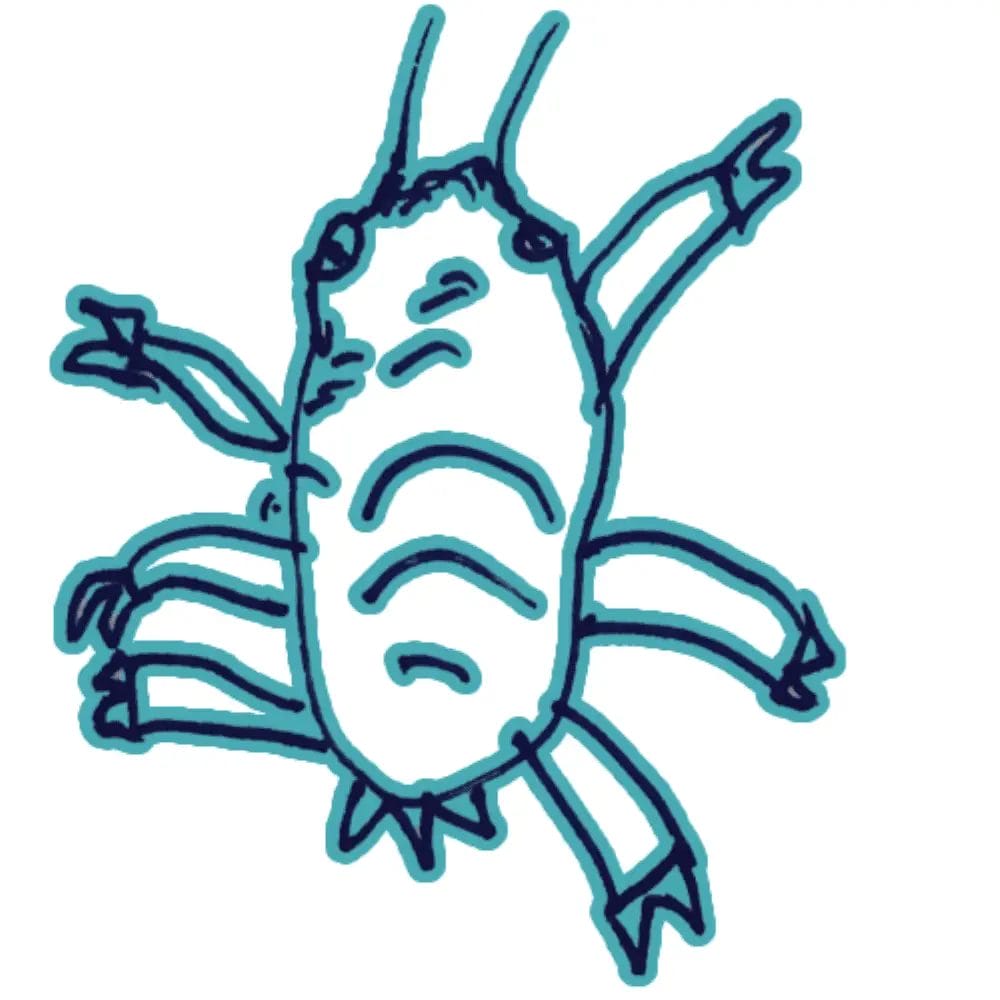 johnny's aphid drawing