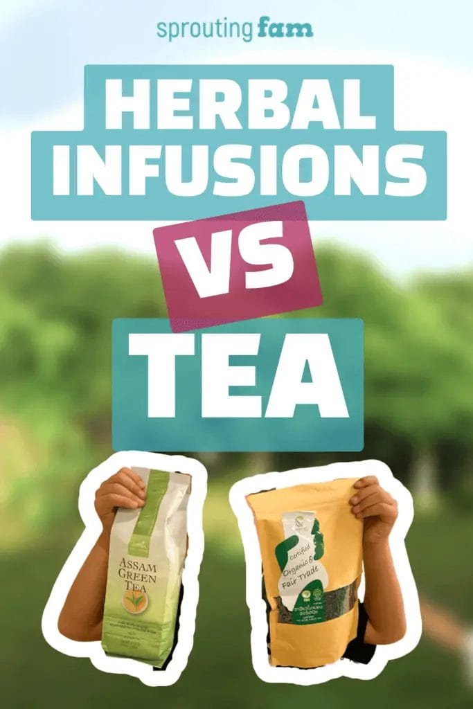 Tea and Infusions: What is the Difference? – Tielka