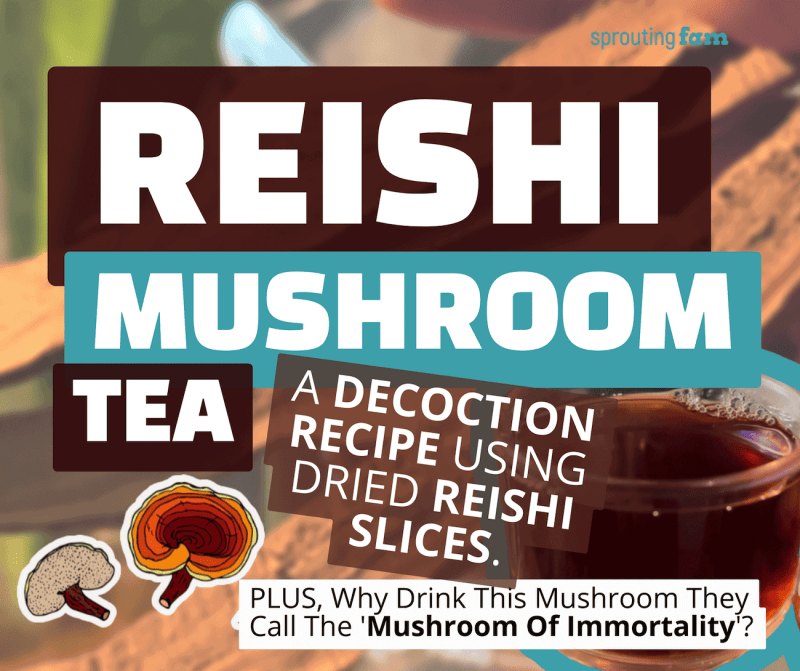 Reishi Mushroom Tea Recipe Graphic for Facebook