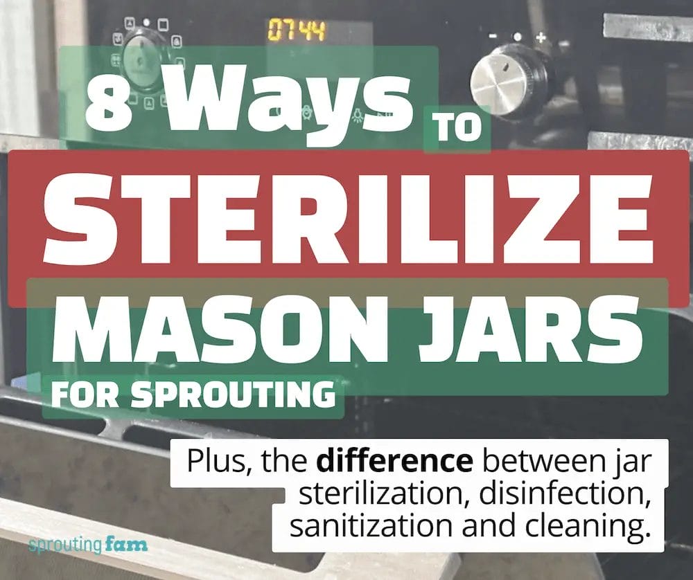 8 ways to sterilize mason jars for sprouting. learn how to do it best and why graphic.