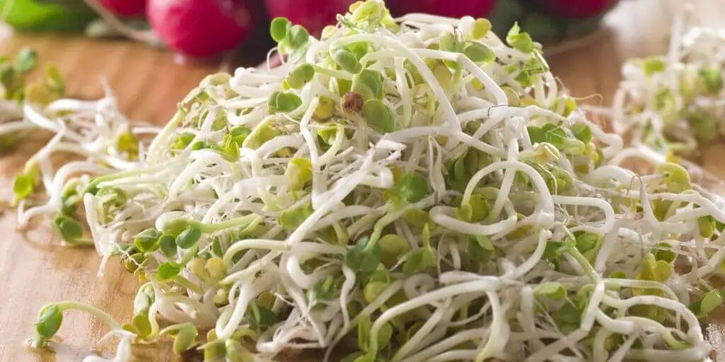 radish sprouts piled up on table in front of red radishes whole