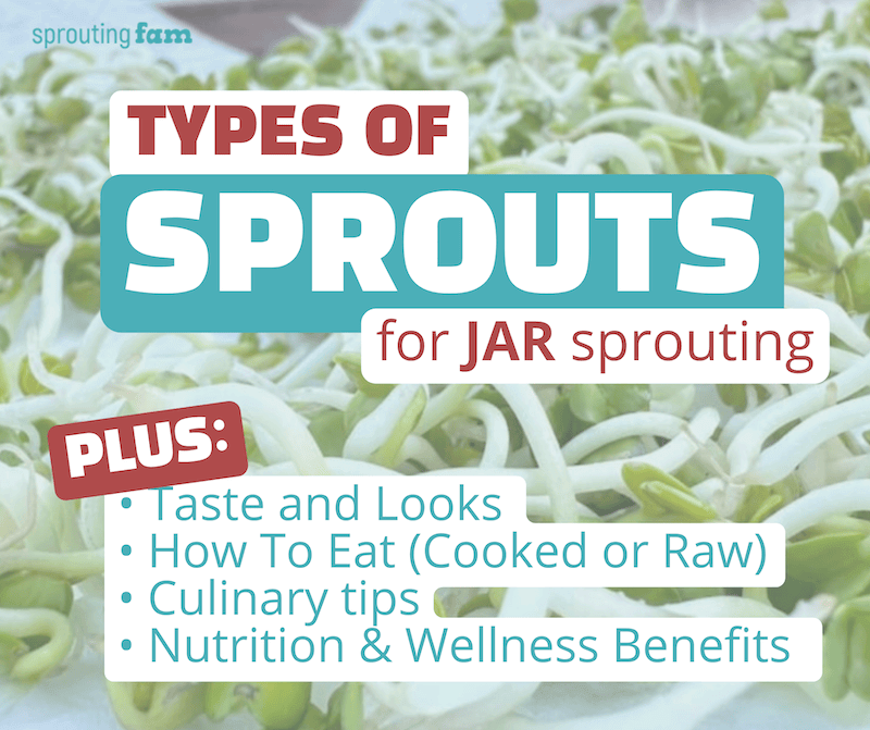 36 Types Of Sprouts To Jar Sprout At Home - Sprouting Fam