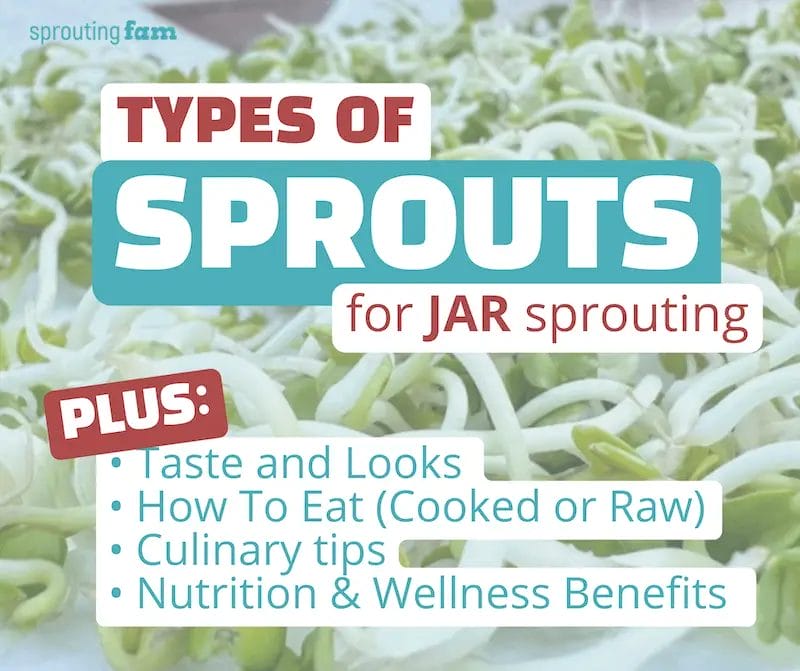 types of sprouts infographic for Sprouting Fam post shares on Social media