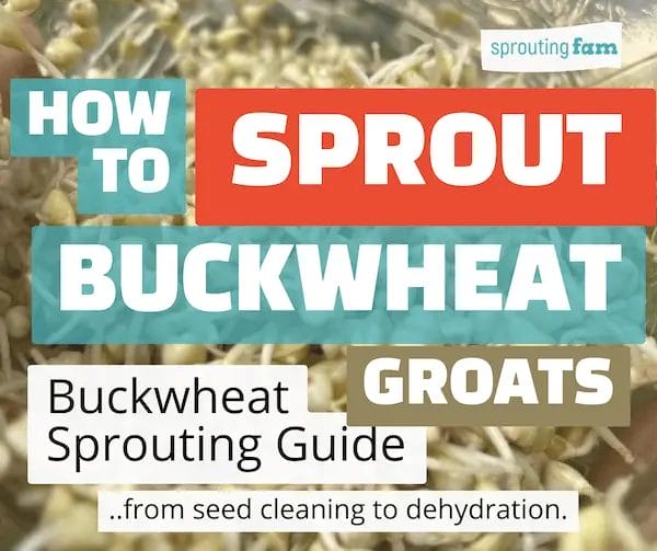 how to sprout buckwheat facebook graphic for sprouting fam page