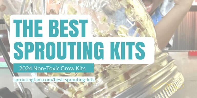 The Best Sprouting Kits For Mason Jars In 2024 (Highest Quality)